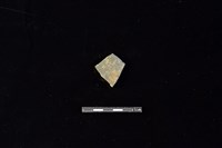 藏品(陶片)的圖片